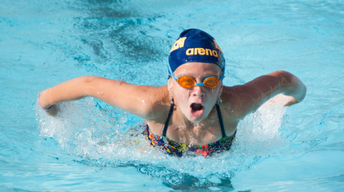 Sofie Simmar Hoppfjäril
